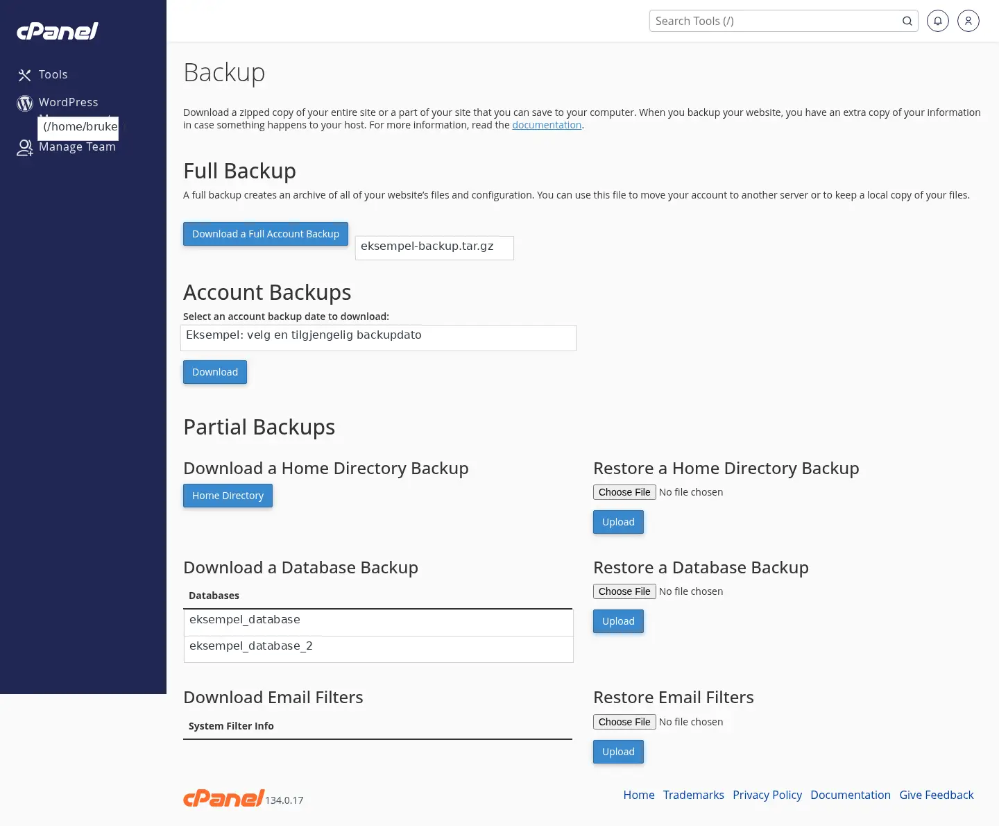 Sanitisert skjermbilde av Backup-siden i cPanel