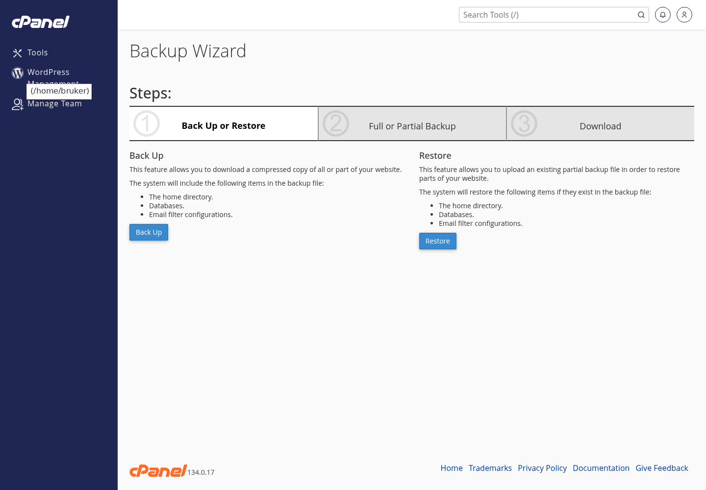 Sanitisert skjermbilde av Backup Wizard i cPanel