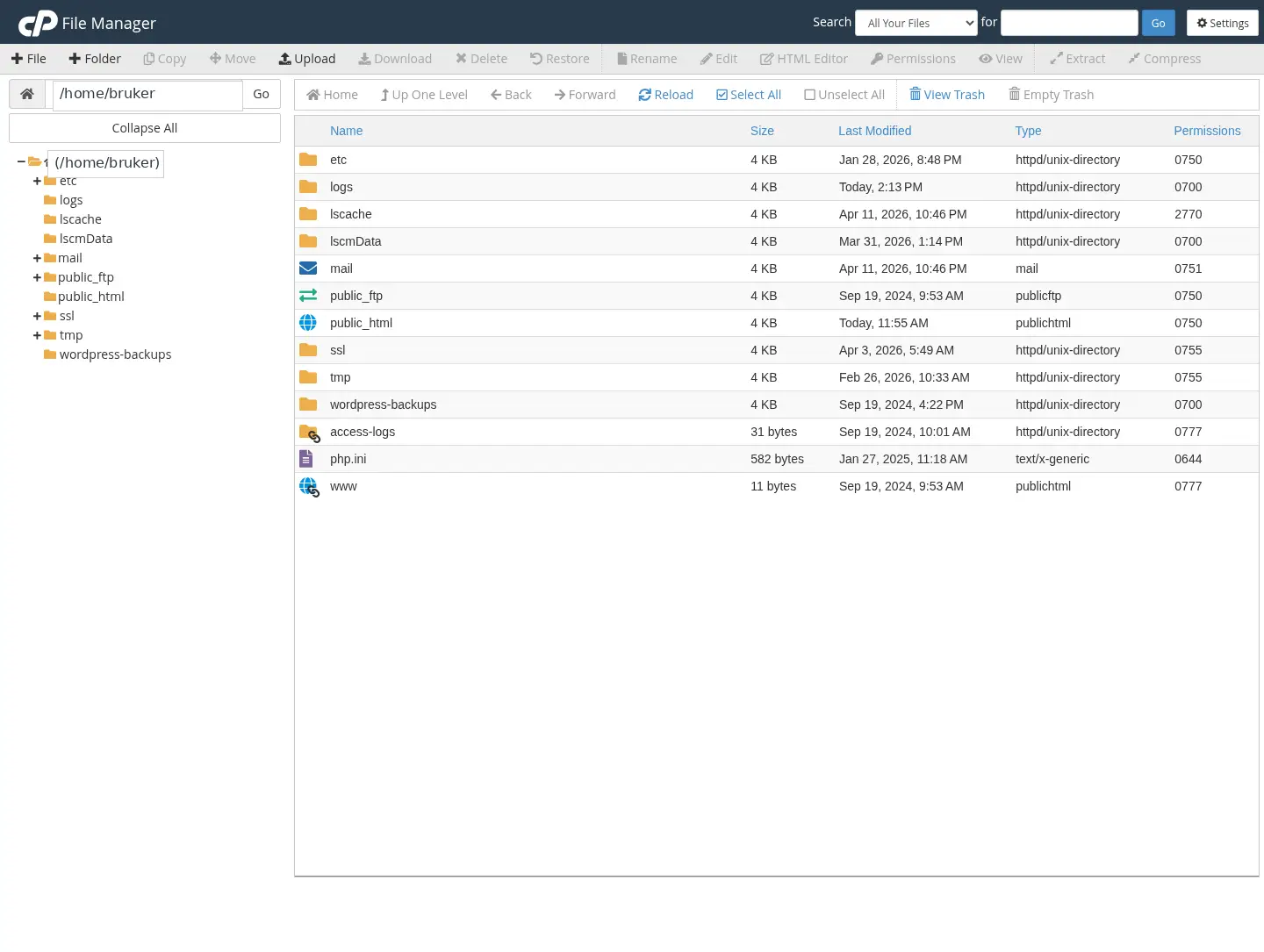 Sanitisert skjermbilde av Filbehandling i cPanel
